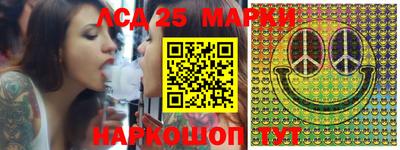 индика Заводоуковск