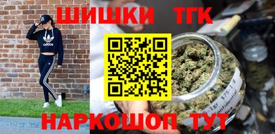 индика Заводоуковск