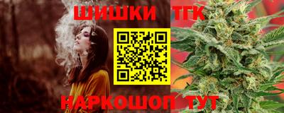 индика Заводоуковск