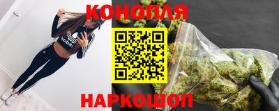 индика Заводоуковск