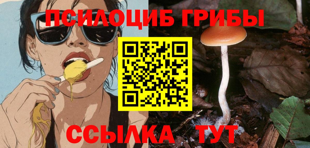 Псилоцибиновые грибы ЛСД Михайловск