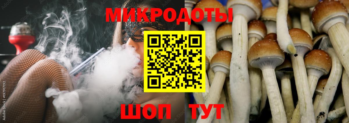 Галлюциногенные грибы Cubensis  Вход с VPN  Михайловск 